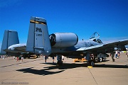ZG55_405 A-10A Thunderbolt 82-0659 PA from 103rd FS 111th FW NAS JRB Willow Grove, PA