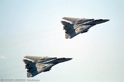 Two F-14D Tomcat from NAS Oceana, VA