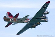 B-17 Flying Fortress escorted by P-40M Warhawk