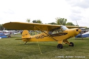 MG31_149 Piper PA-18-105 Special C/N 18-2257, N143T