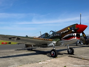 Static Display