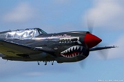 NL977WH Curtiss P-40N Warhawk 