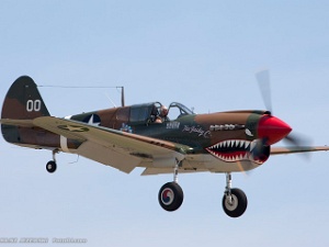 Jones Beach Air Show