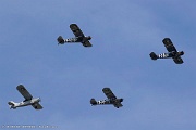 OE08_014 Formation of L-4 liaison aircraft - Arsenal of Democracy Flyover