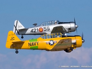 Warbirds - Trainers