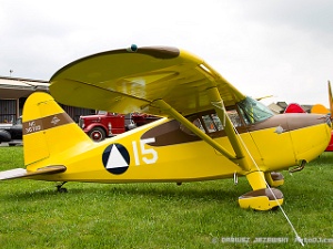 Static Display Pictures