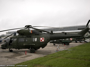 Static Displays Pictures