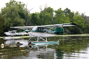 N444NX American Champion 8GCBC Scout C/N 419-2000, N444NX