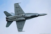 188790 CAF CF-188 Hornet 188790 from 425 TFS 