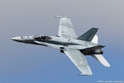 188790 CAF CF-188 Hornet 188790 from 425 TFS 