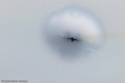 R5__2466 F-35C high speed pass