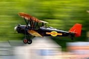 N176H New Standard D-25 C/N 138, N176H