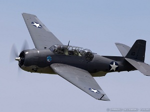 Airshow Action