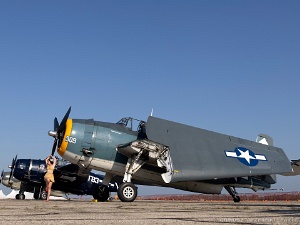 Static Display